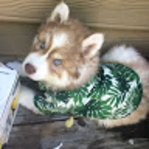 Meet your Posher, Madeline